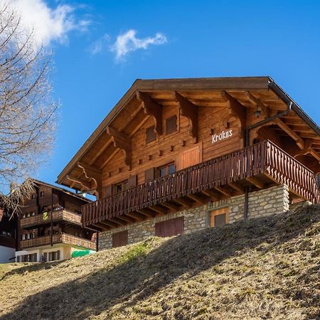 Chalet Krokus Riederalp Zewnętrze zdjęcie